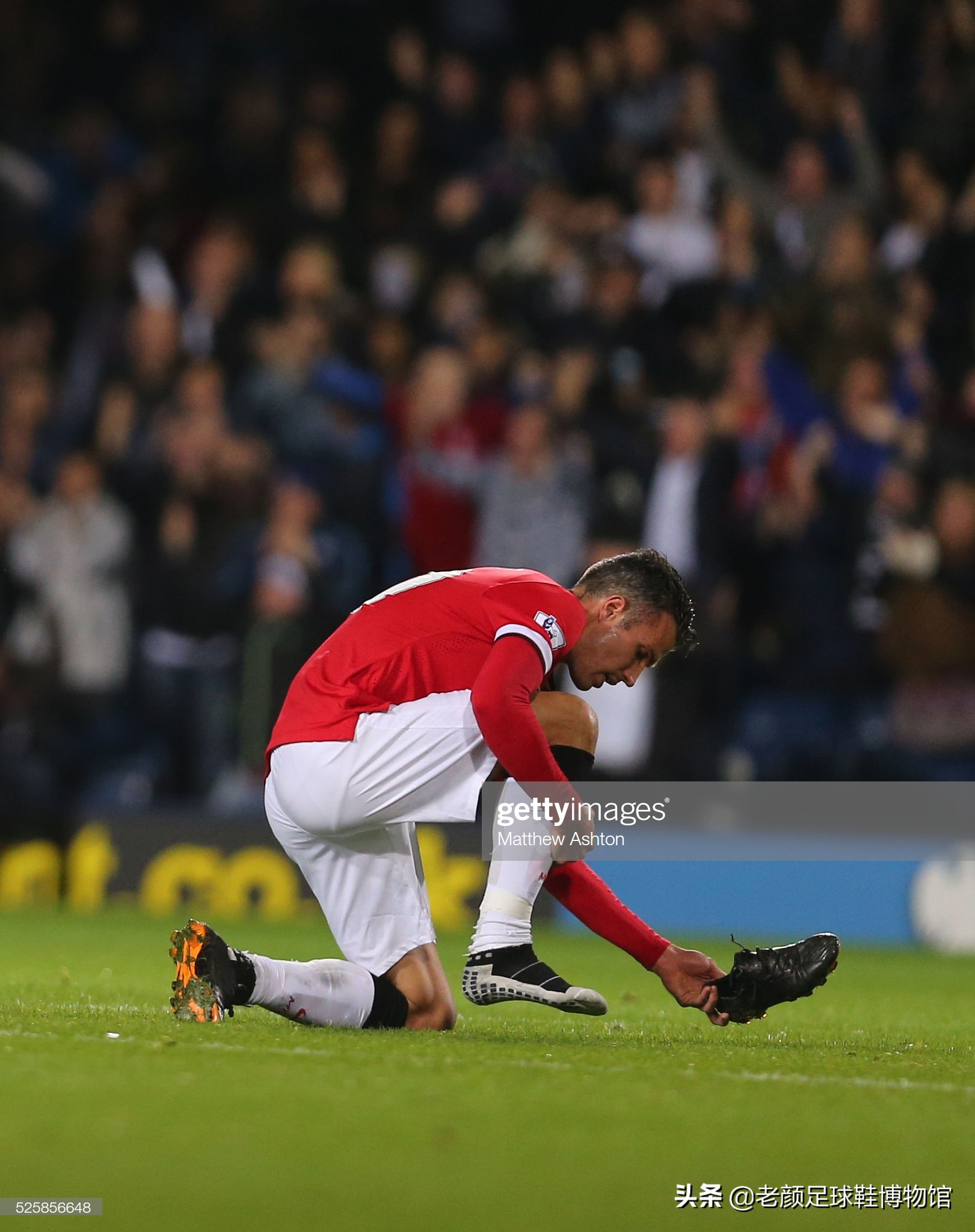 他的到来 他的到来